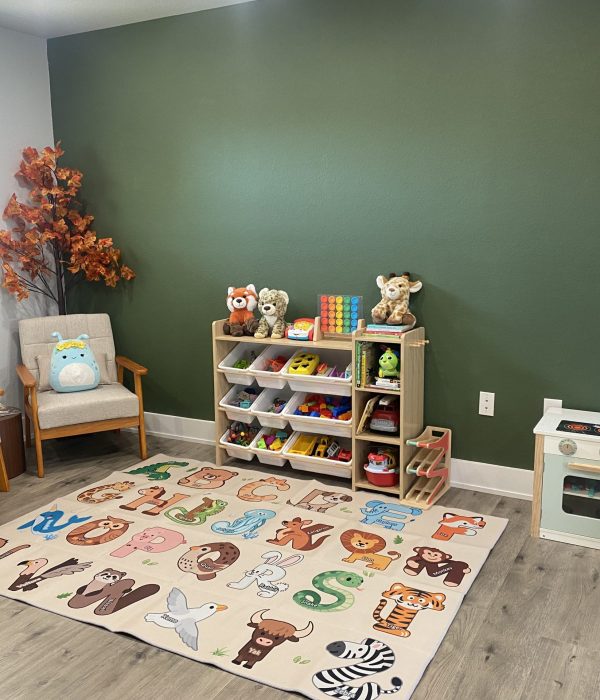 Kid's Play Room